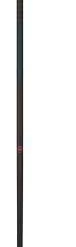 Rossignol Ski Poles Women's Poles ELECTRA PREMIUM CARBON